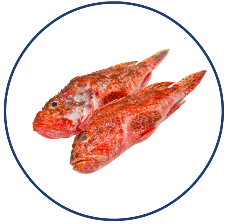Redfish e1611615744302