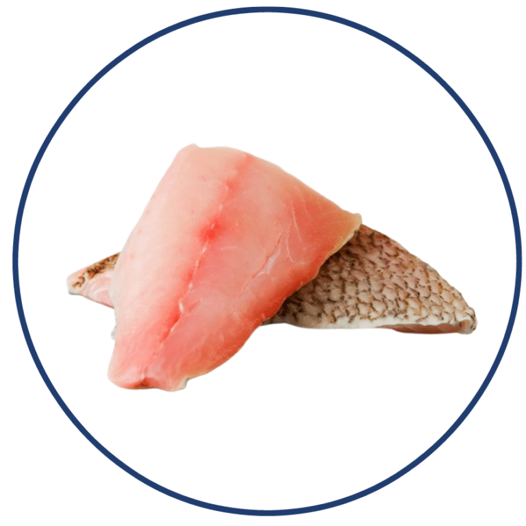 redmullet filets e1611684449640