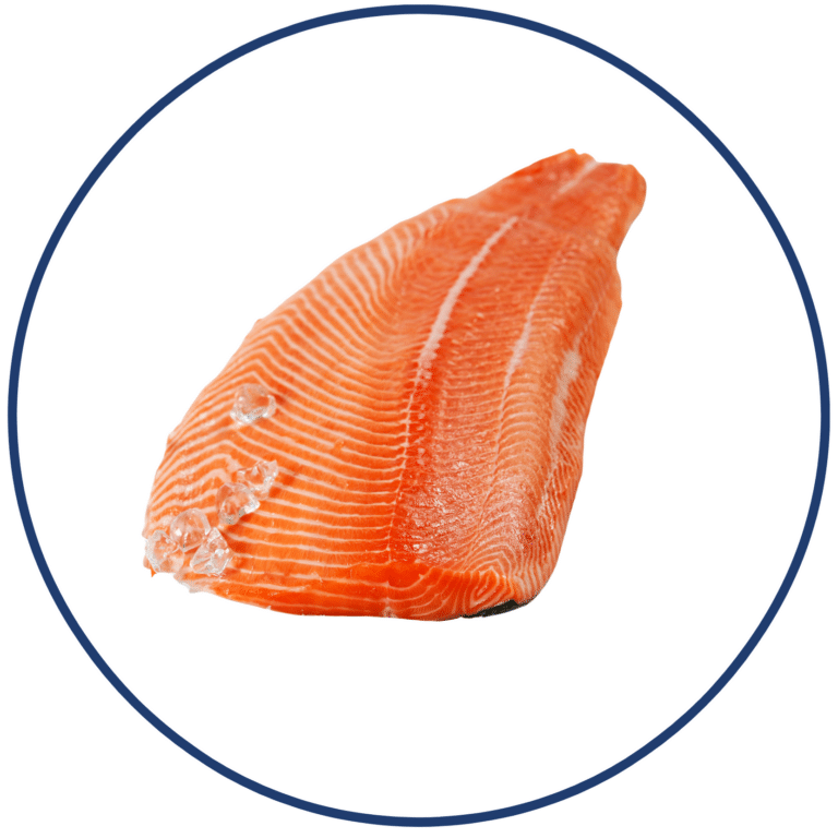Filets de saumon e1614272505752