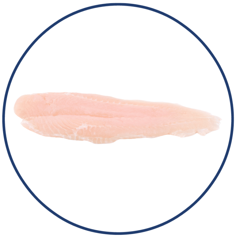 Pangasius filet e1614274878188